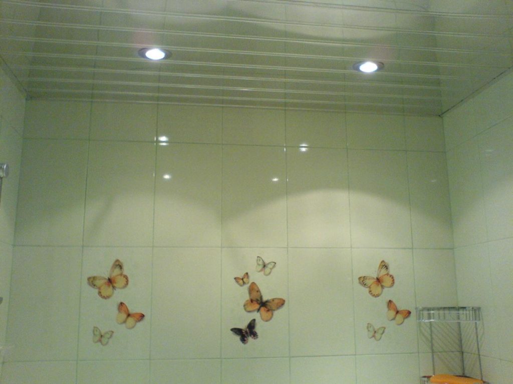 Потолок В Туалете Варианты Фото