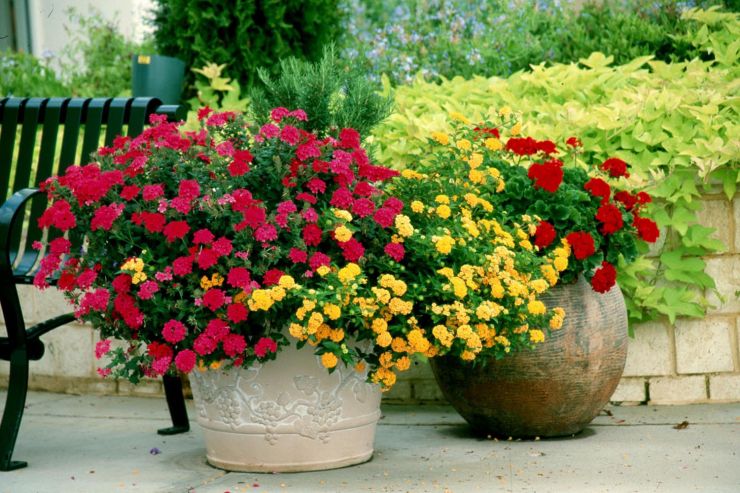Красивая ваза для цветов на улицу